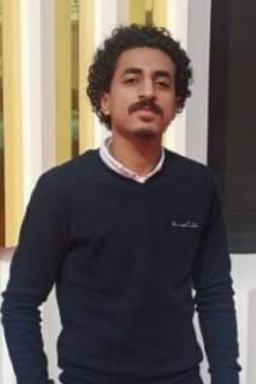 Ahmed Bibo as Hossam