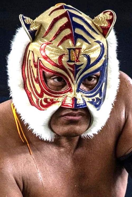 Yoshihiro Yamazaki as Tiger Mask