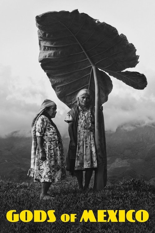 Gods of Mexico poster