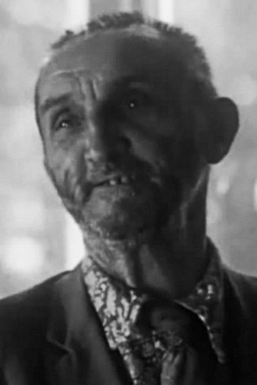 Evgeniy Seryakov as Rabotnik pochty