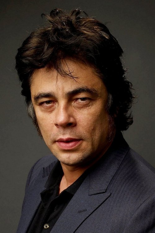 Benicio del Toro as Fenster
