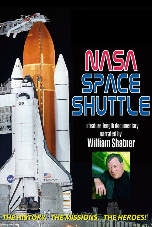 The Space Shuttle