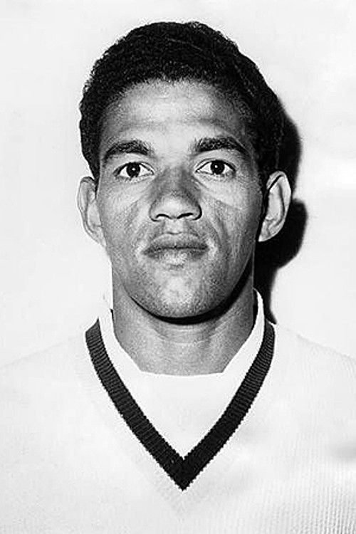 Garrincha as Self