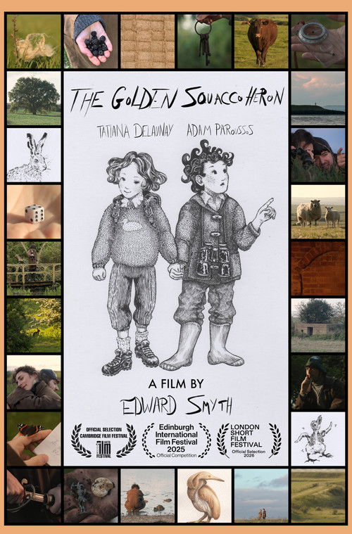 The Golden Squacco Heron