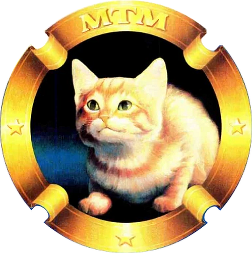 MTM Enterprises logo