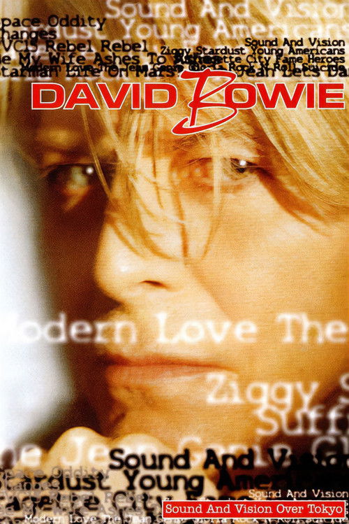 David Bowie: Live At The Tokyo Dome poster