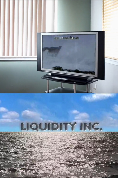 Liquidity Inc. poster