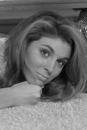 Dixie Peabody profile photo