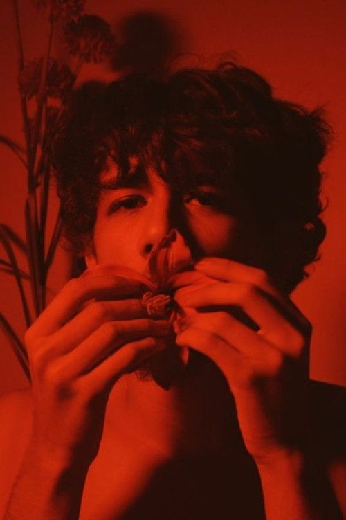 Gabriel Viggo as Ele/Homem