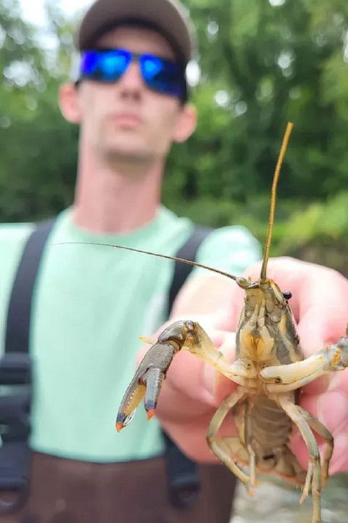 Connor Baragon301 as Himself as Unseen Fish