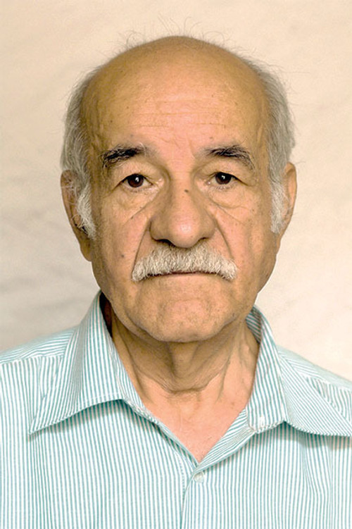Saeed Poursamimi as The Father
