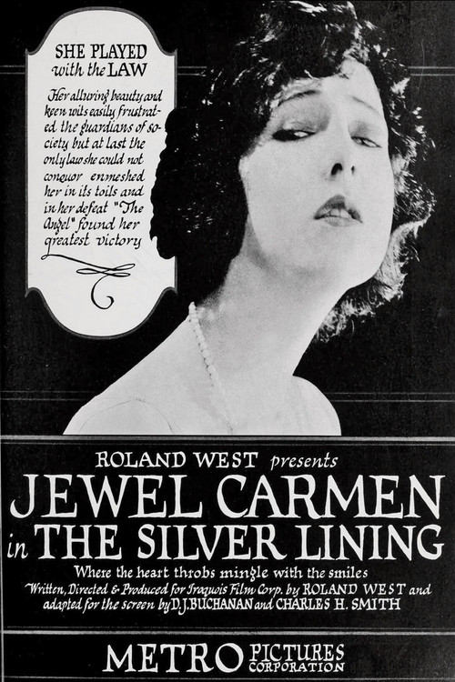 The Silver Lining poster