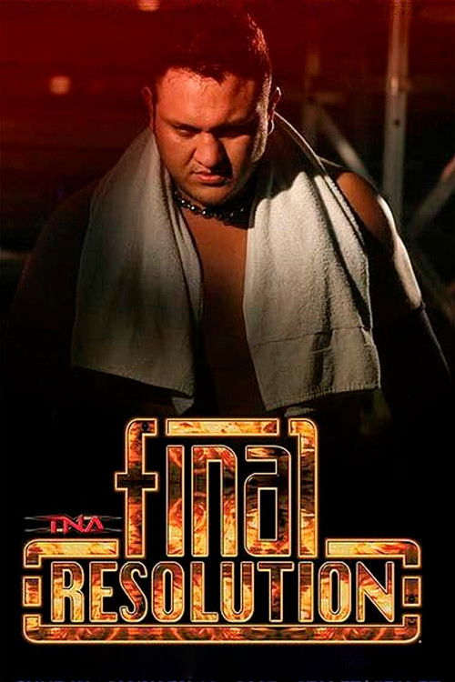 TNA Final Resolution 2007 poster