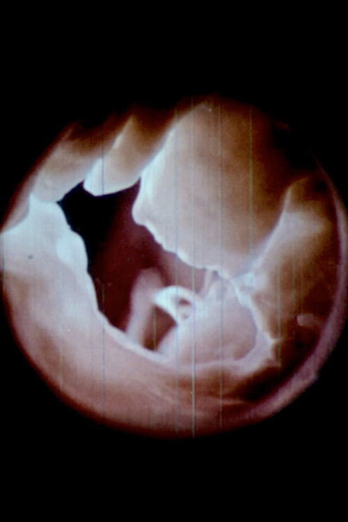 心 Heart (Radical 61) poster