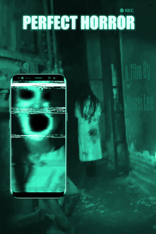 Perfect Horror poster