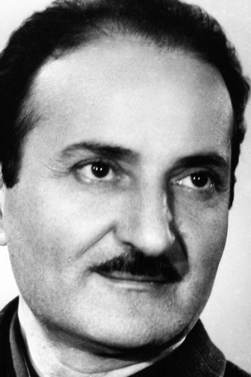 Ismail Afandiyev as Amir Hamza