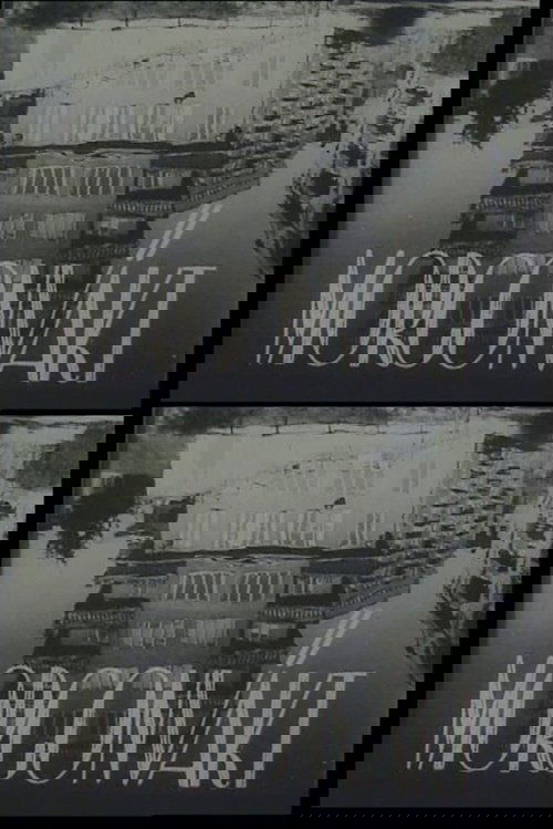 Morning Watch : A Study in Contrasts