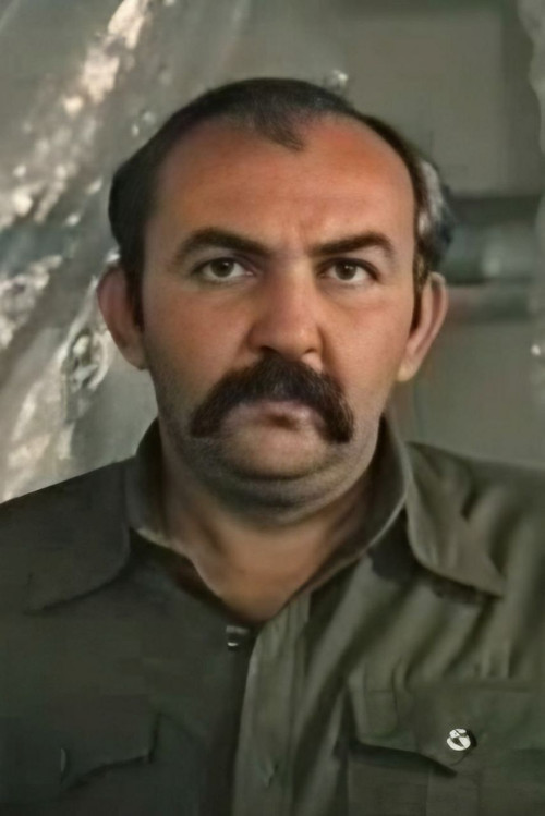 David Mkrtchyan as 