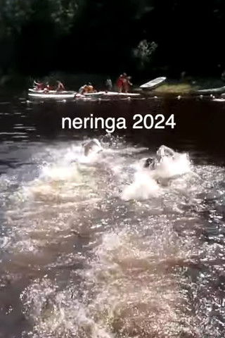 our last year at sleepaway camp poster