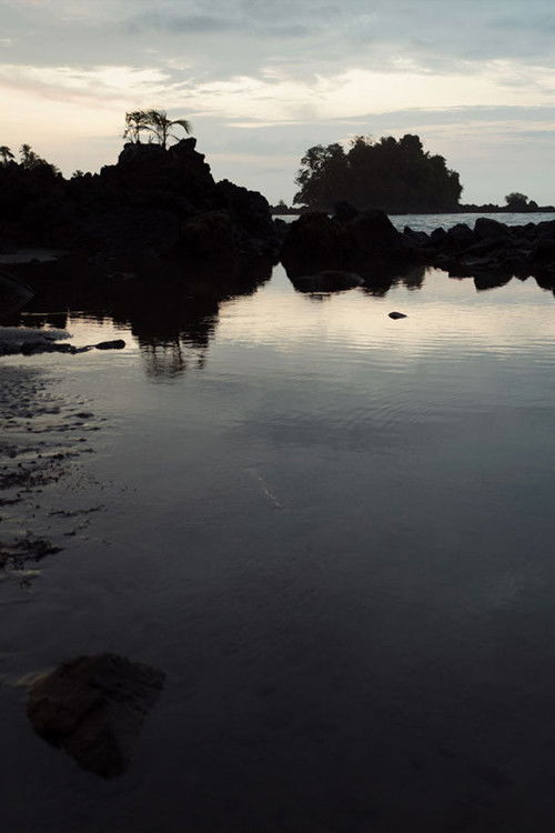 Memoria, Boy at Sea poster