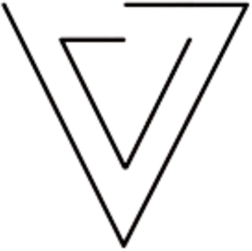 Void to Vortex logo
