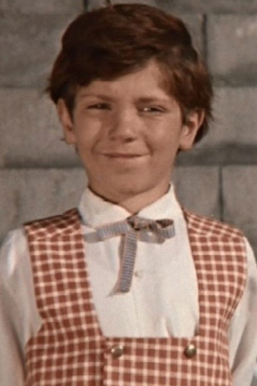 S. Vahanyan as Vigen