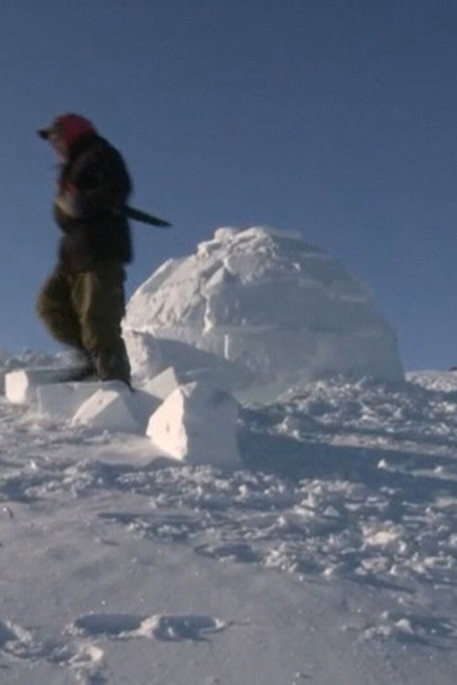 If You Want to Get Married... You Have to Learn How to Build an Igloo!