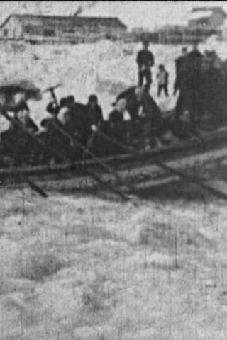 The Crown of Life poster