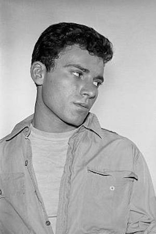 Neil Burstyn as Andy