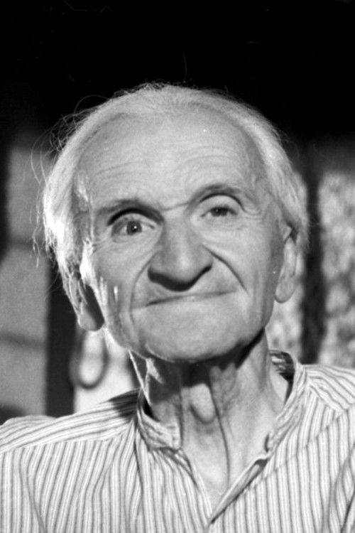 Jan Berent as Newsagent (uncredited)