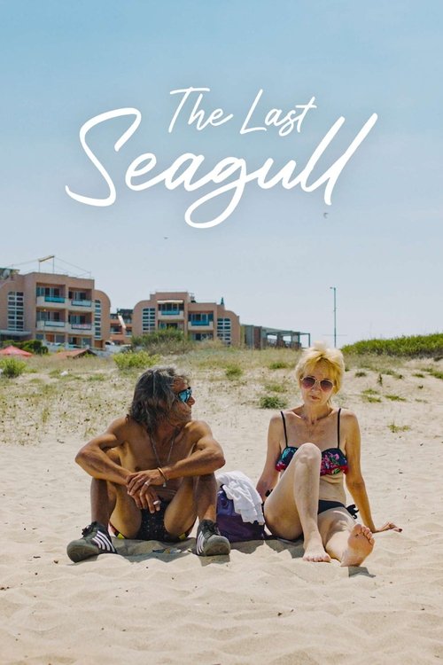The Last Seagull poster
