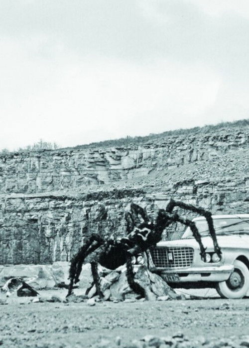 As Long as the Stratified Animal Lights Up