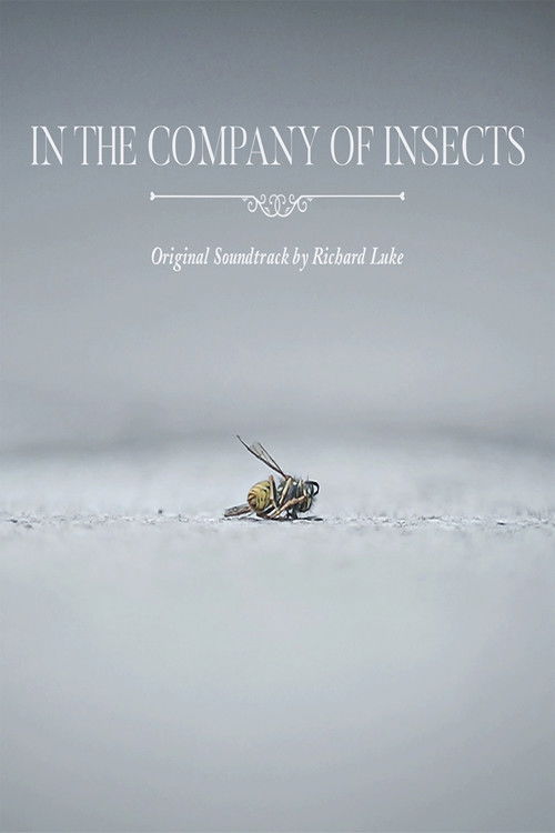 In the Company of Insects poster