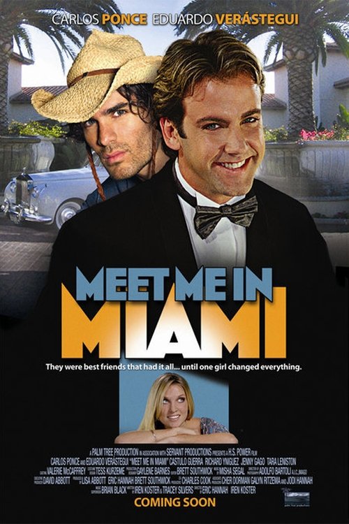 Meet Me in Miami poster