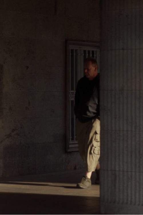 The Perfect Spectator