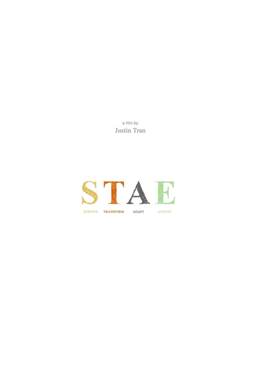STAE poster