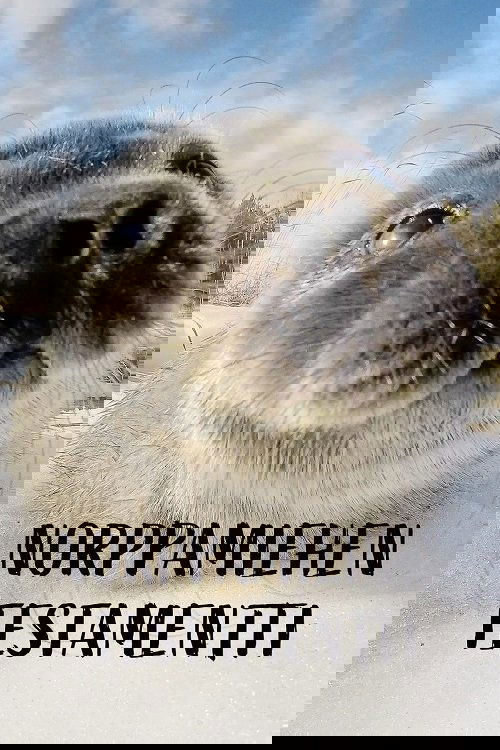 Norppamiehen testamentti