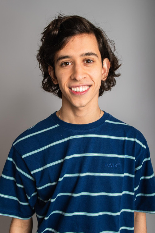 Bruno Rondini as Mosquito