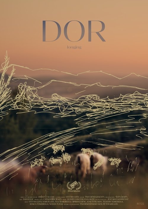 Dor (Longing) poster