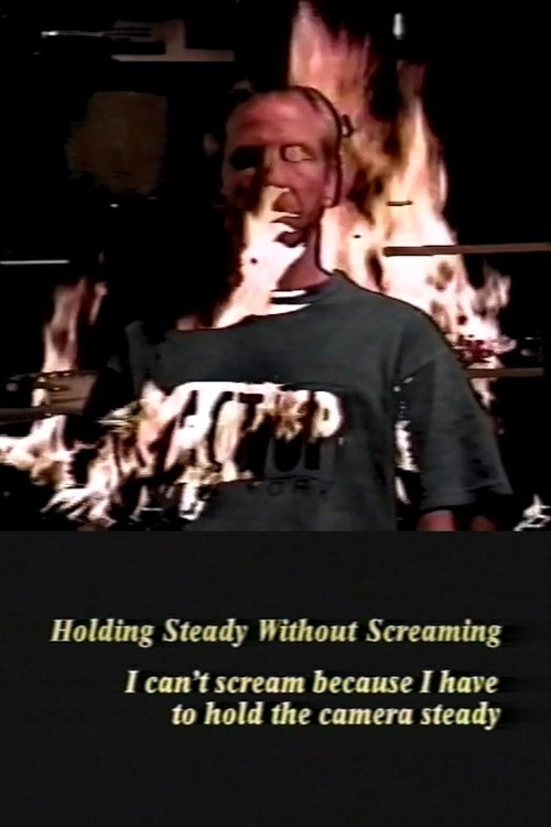 Holding Steady Without Screaming poster