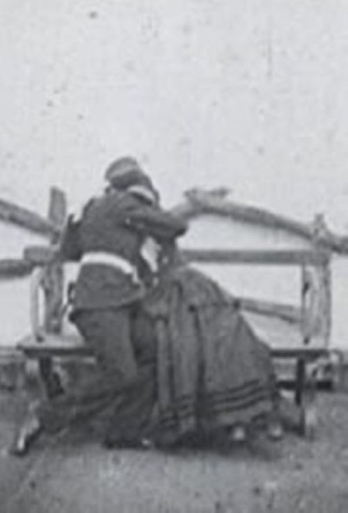 The Soldier's Courtship poster