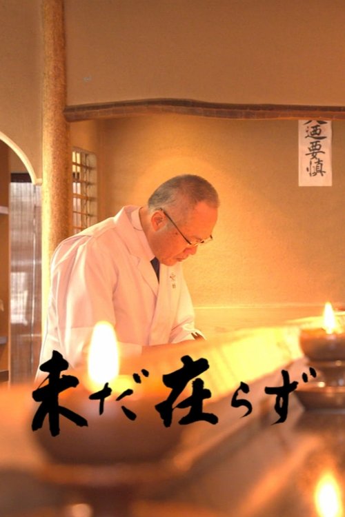 Not Yet There poster