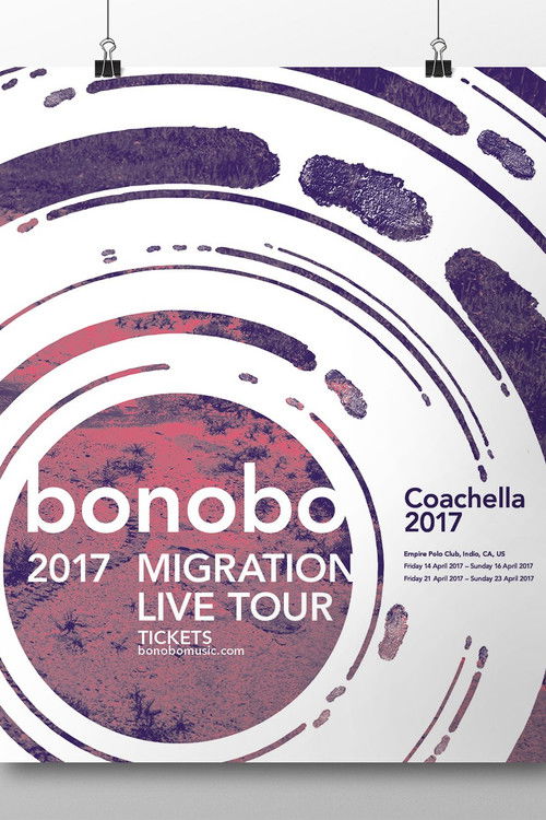 Bonobo: Coachella Valley Music and Arts Festival 2017