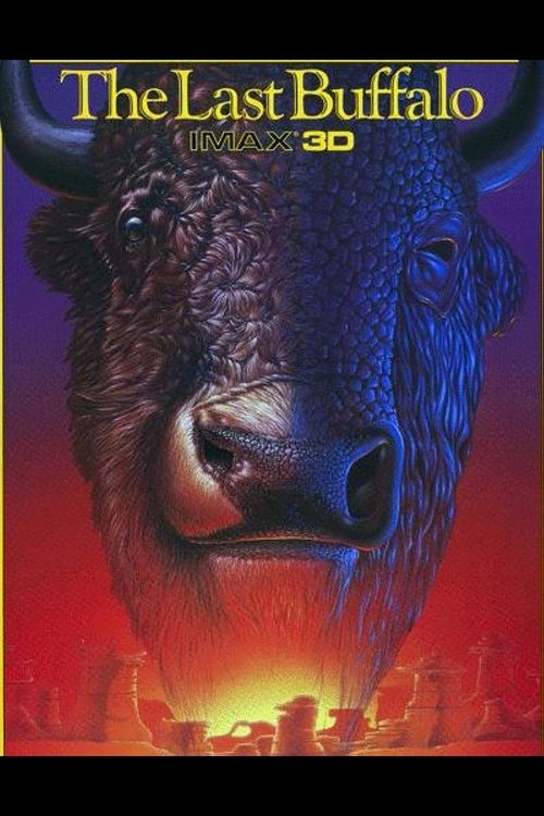 The Last Buffalo poster