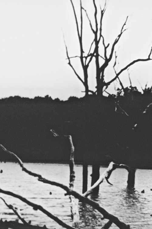 Hidden Objects 2 poster