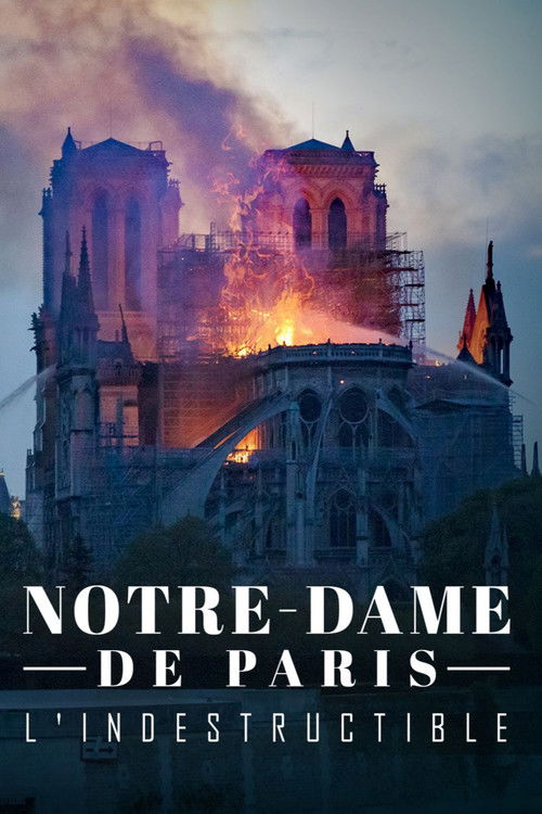 Notre-Dame de Paris, l'indestructible poster