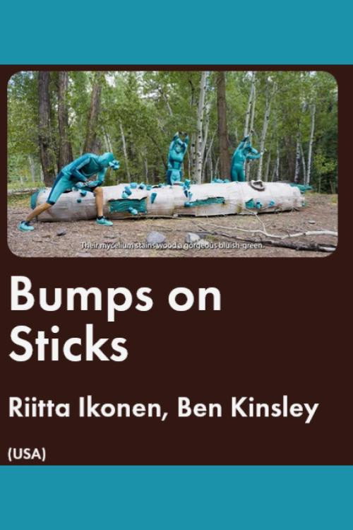 Bumps on Sticks