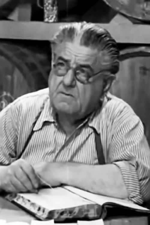 Vasilis Afentakis as Giannis