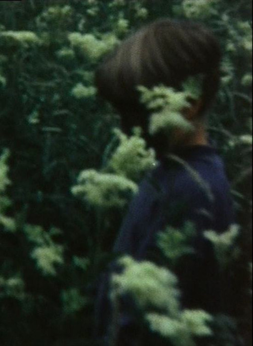 Das fliegende Bild poster