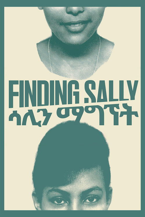 Finding Sally poster
